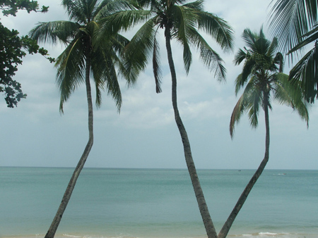 点击放大鼠标滚轮控制大小