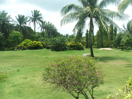 点击放大鼠标滚轮控制大小